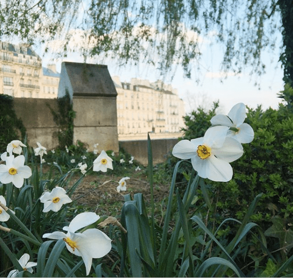 Screen Shot 2019-06-10 at 6.27.34 PM.png