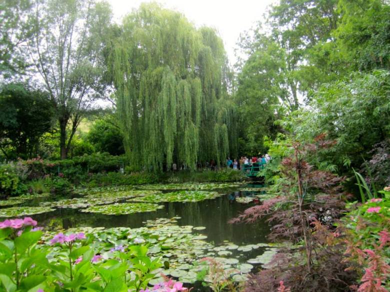 11694164_1117377581612133_4916720667780981296_n