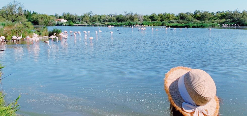 Two Days in Arles and the Camargue