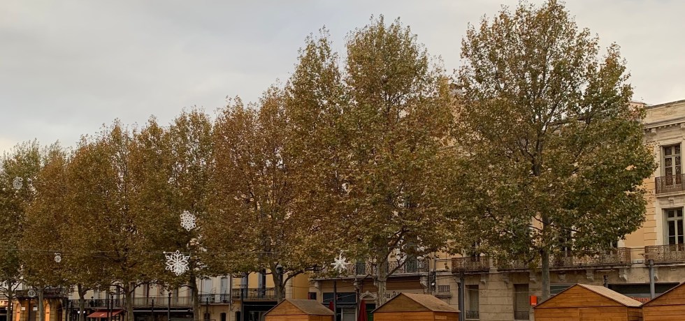 Second Lockdown in France