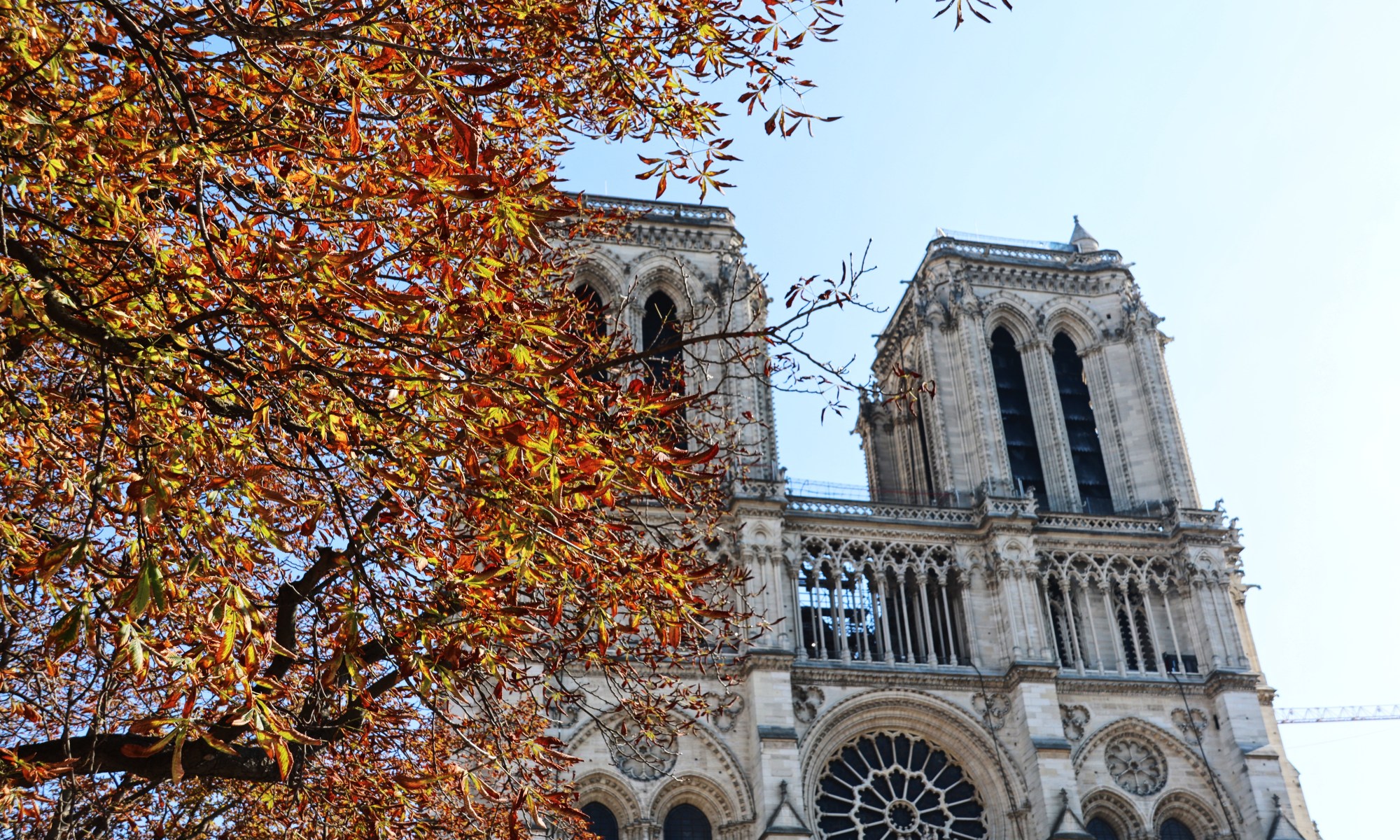 Fall in Paris