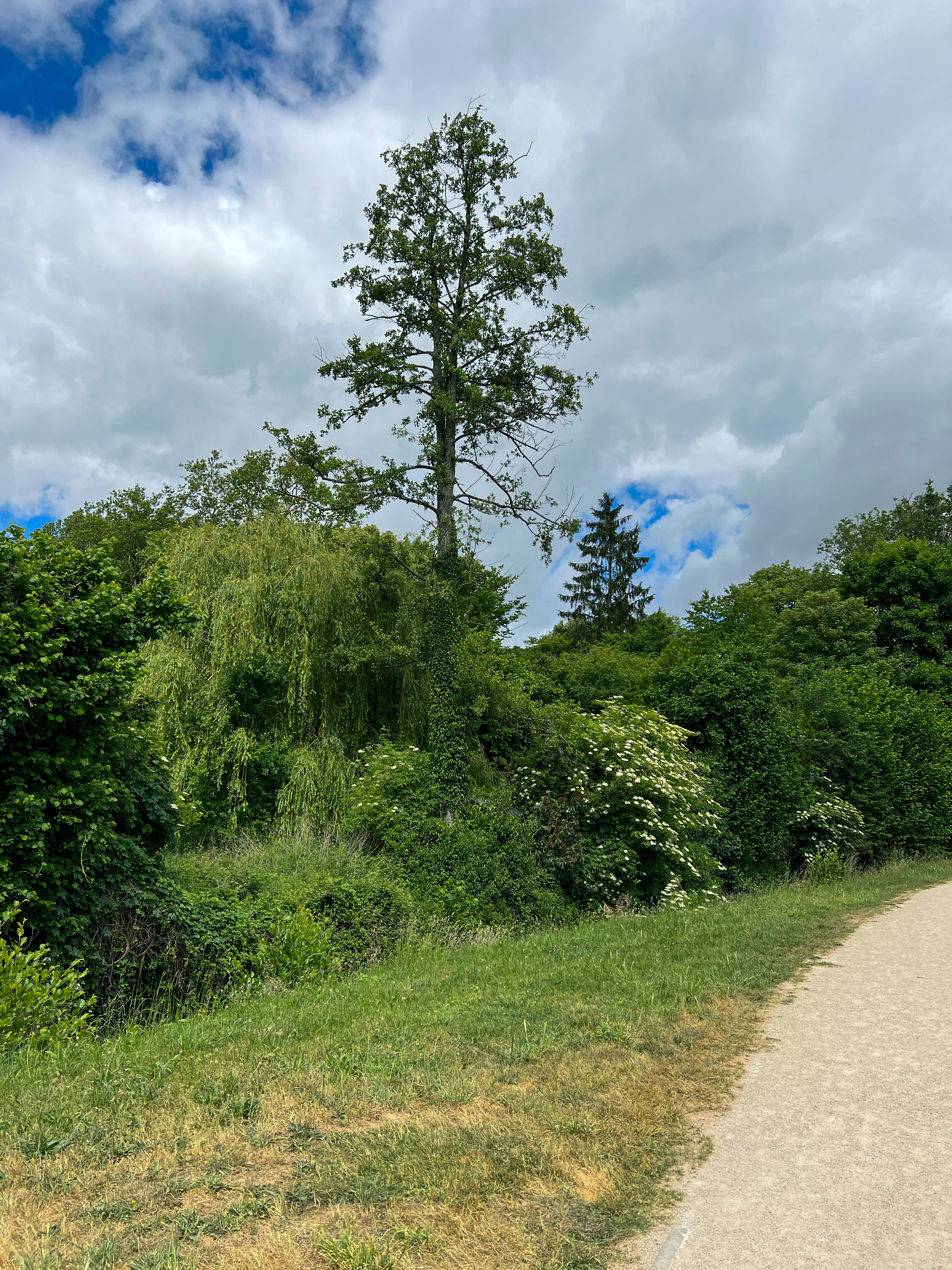 Chevreuse: Day Trip from Paris – Baguettes and Bicyclettes