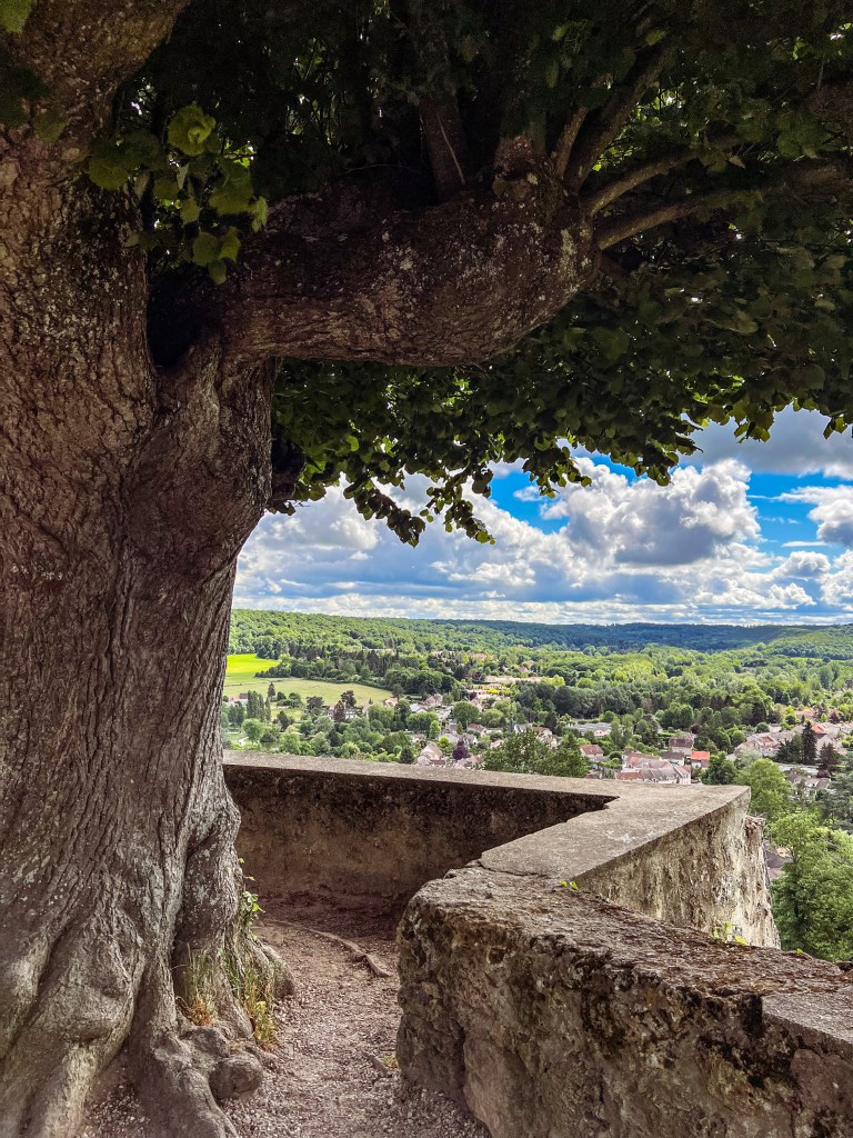 Chevreuse: Day Trip from Paris – Baguettes and Bicyclettes